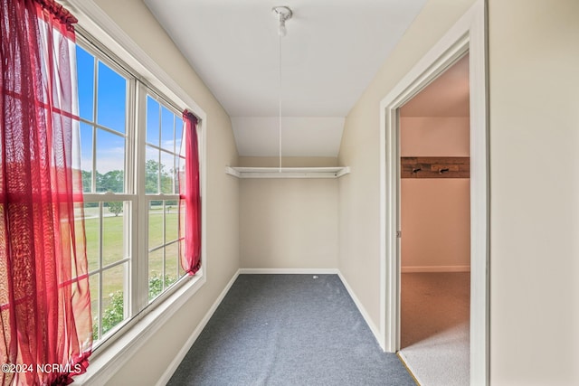 walk in closet featuring carpet floors