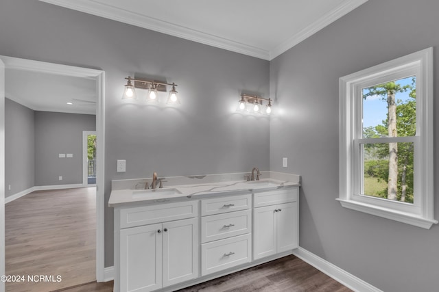 bathroom featuring vanity, crown molding, and wood-type flooring