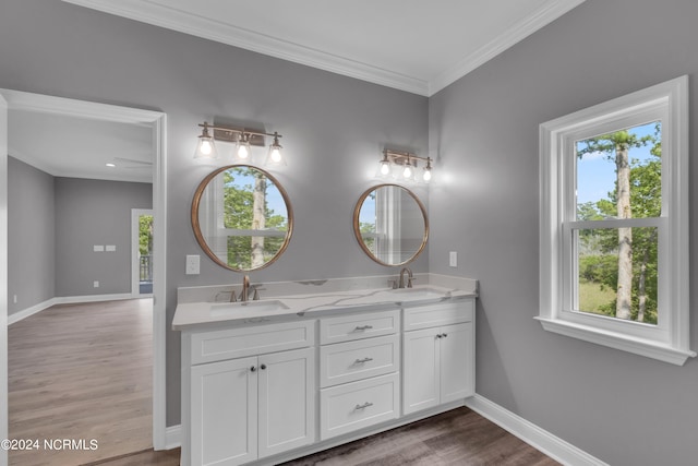 bathroom with hardwood / wood-style flooring, ornamental molding, and vanity