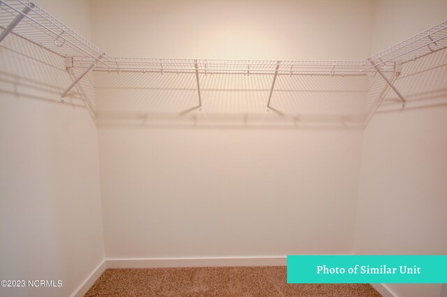 washroom featuring hardwood / wood-style flooring and electric dryer hookup