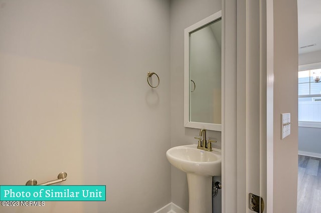 bathroom featuring hardwood / wood-style floors