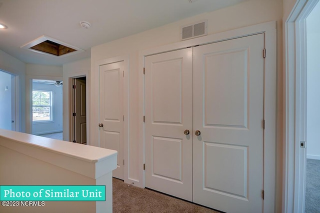 hallway with carpet floors