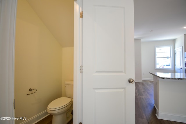 bathroom featuring vanity, hardwood / wood-style flooring, and toilet