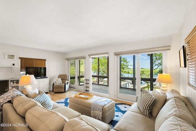 living room featuring light hardwood / wood-style floors