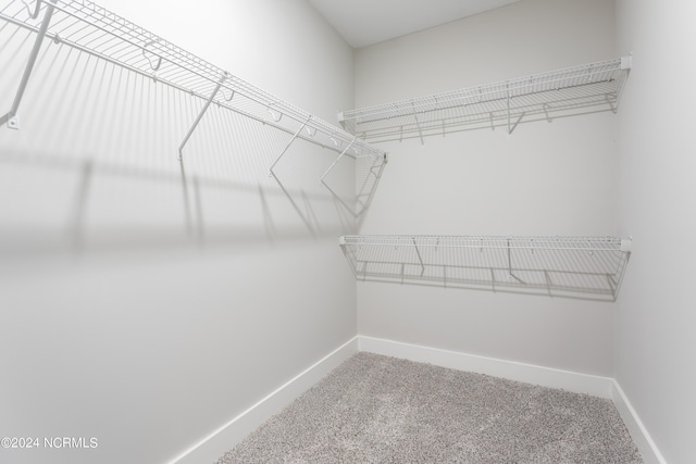 walk in closet featuring carpet flooring