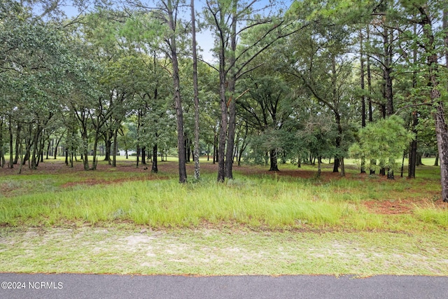 3080 Purple Finch Ln SW Unit 60, Supply NC, 28462 land for sale