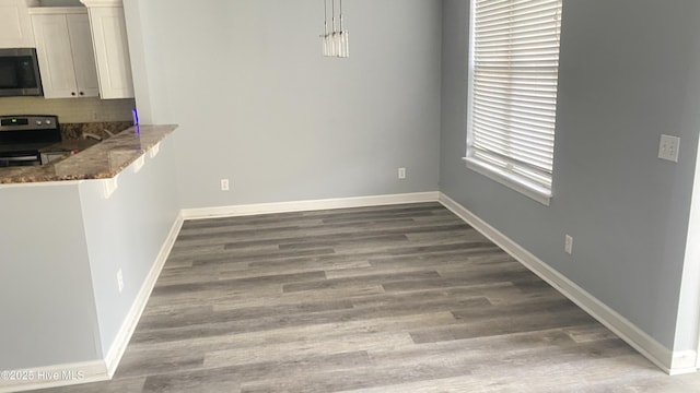 unfurnished dining area with hardwood / wood-style flooring