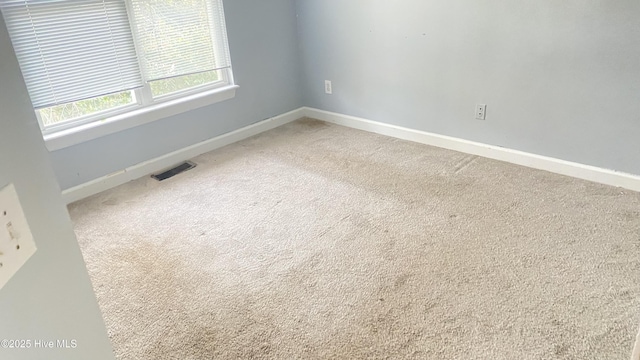 spare room with carpet