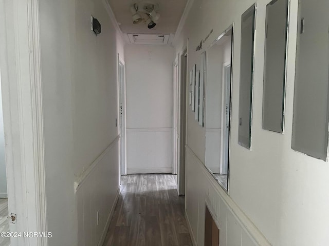 hallway with crown molding and dark wood-type flooring