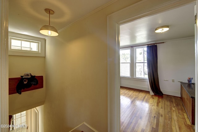 hallway featuring ornamental molding and light hardwood / wood-style floors