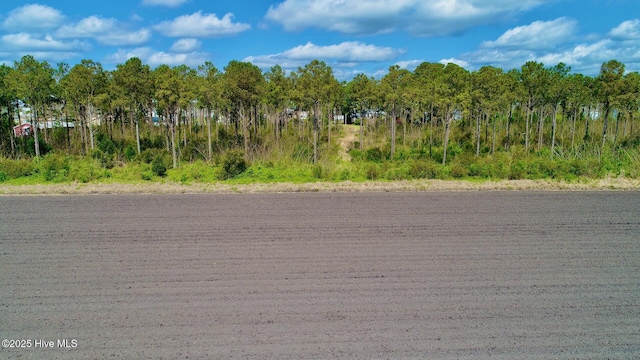264 Main St, Swanquarter, NC 27885 - view of road