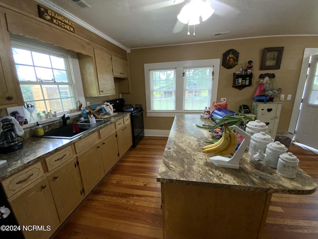 kitchen featuring sink, black electric range, a wealth of natural light, and light wood-type flooring