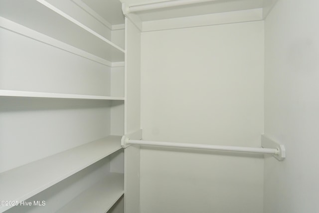 244 Grandview Dr, Sneads Ferry, NC 28460 - view of spacious closet