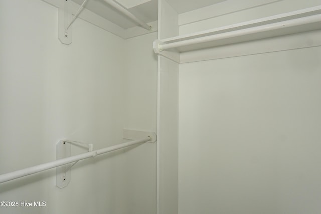 244 Grandview Dr, Sneads Ferry, NC 28460 - view of walk in closet