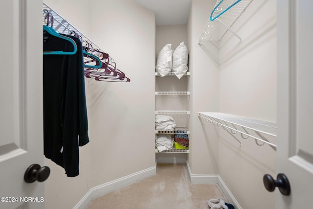 walk in closet with carpet flooring