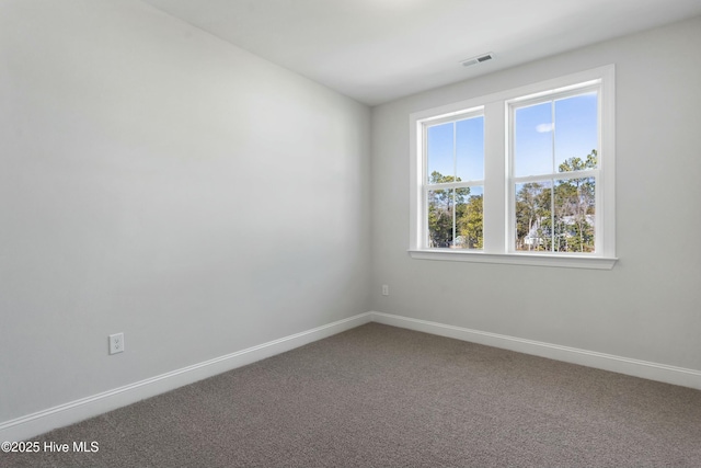 spare room featuring carpet floors