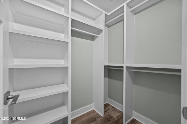 spacious closet with dark wood-type flooring