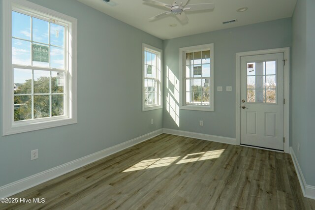 spacious closet with dark hardwood / wood-style floors