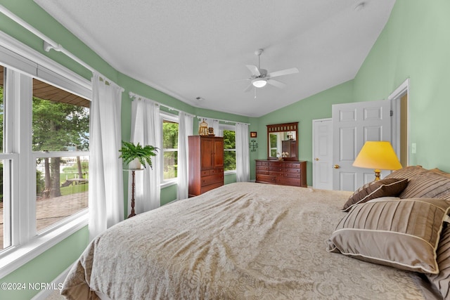 bedroom featuring ceiling fan and vaulted ceiling