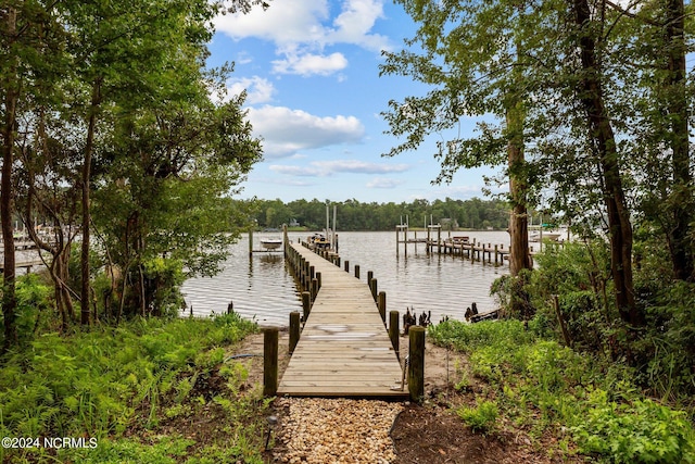 dock area with a water view