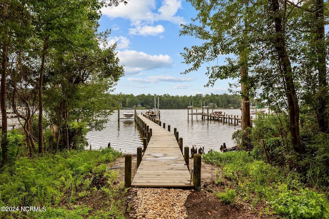 dock area featuring a water view