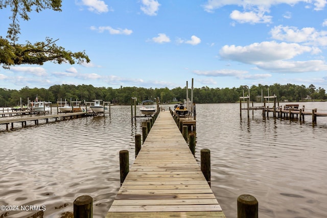 dock area with a water view