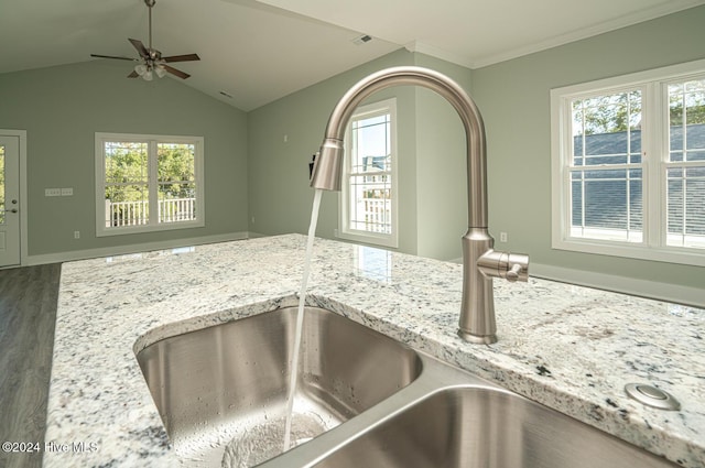 details featuring light stone counters, sink, ceiling fan, and crown molding