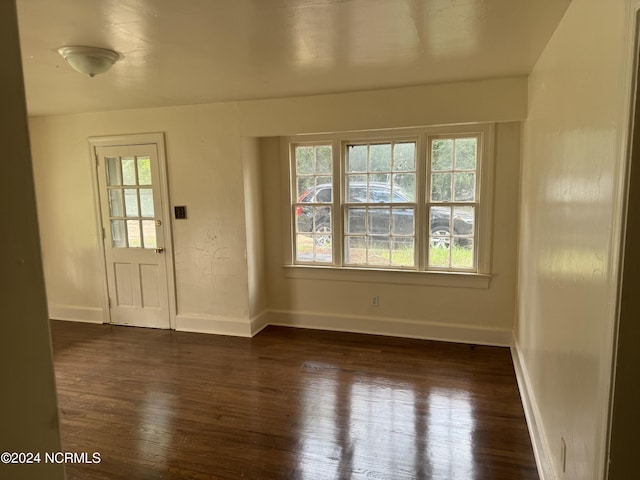 foyer featuring dark wood-type flooring