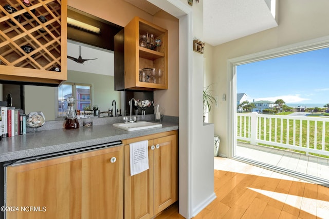 bar featuring dishwasher, light hardwood / wood-style floors, and sink