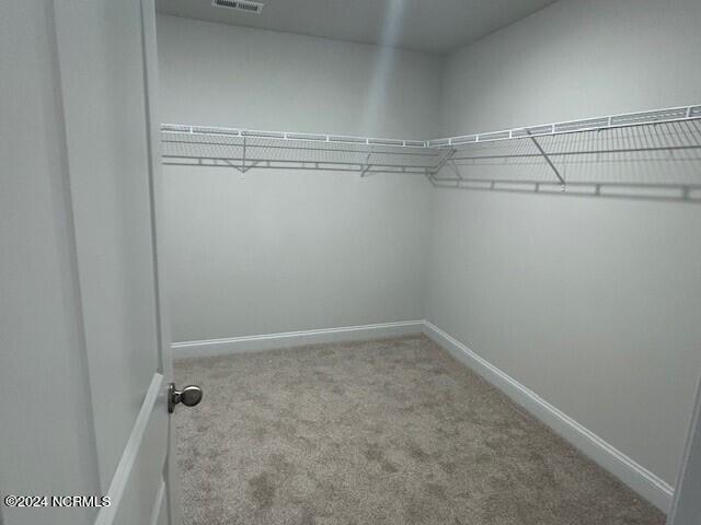 walk in closet featuring light colored carpet