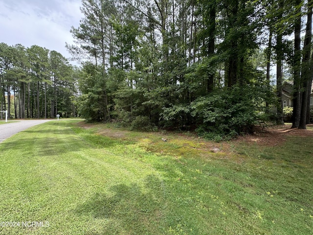 Listing photo 2 for 8 Flat Creek Ct Unit H-08, Hertford NC 27944