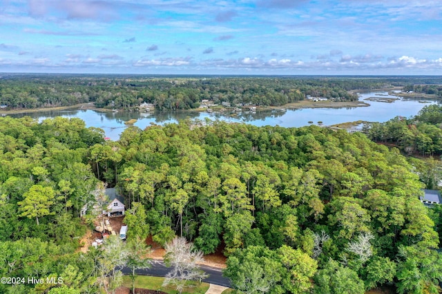 bird's eye view featuring a water view and a wooded view