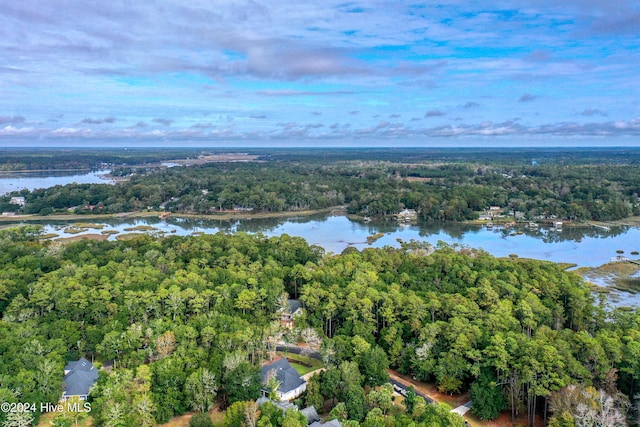 birds eye view of property featuring a water view and a view of trees