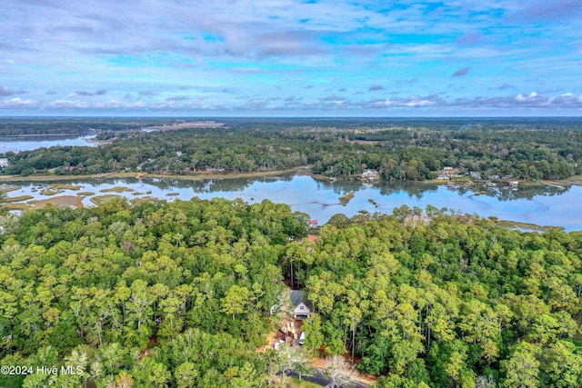 aerial view featuring a water view and a forest view