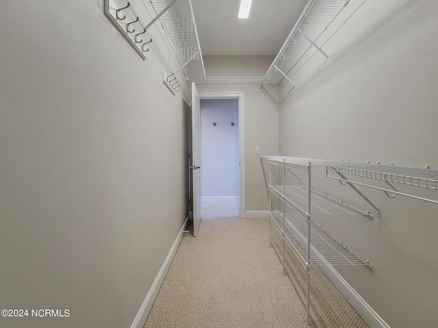 walk in closet featuring light colored carpet