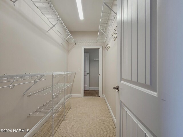 spacious closet featuring light carpet