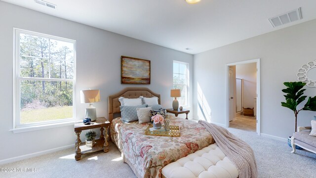 carpeted bedroom with multiple windows