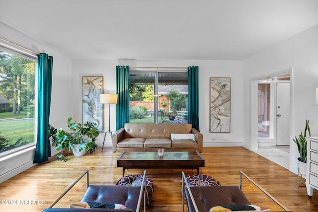 living area featuring a healthy amount of sunlight, baseboards, and wood finished floors