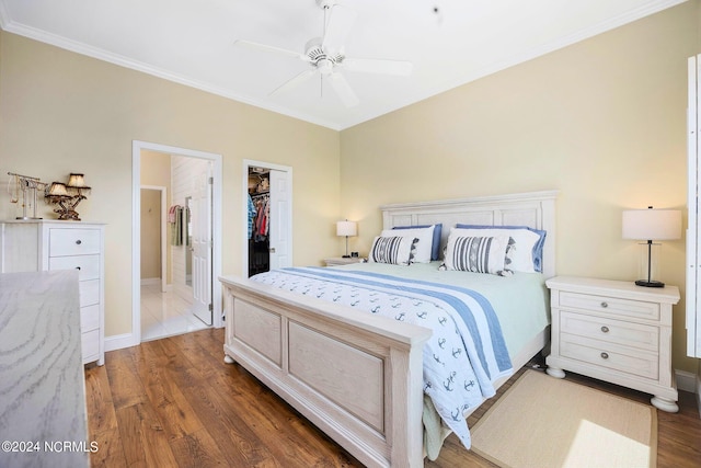 bedroom with dark wood-type flooring, crown molding, a spacious closet, a closet, and ceiling fan