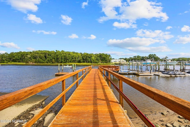 dock area with a water view