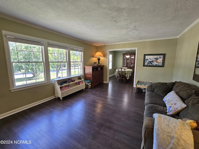 living room with ornamental molding, dark hardwood / wood-style flooring, and a textured ceiling