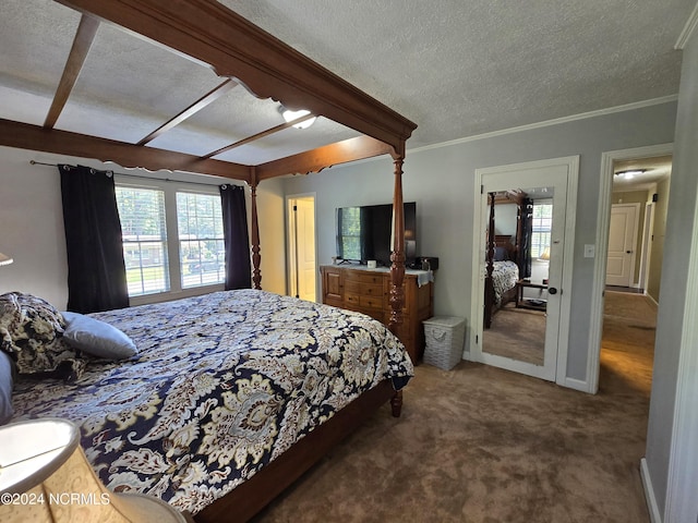 carpeted bedroom with multiple windows, ceiling fan, ornamental molding, and a textured ceiling