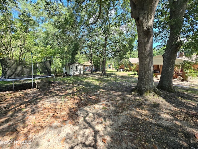 view of yard featuring a trampoline and a shed