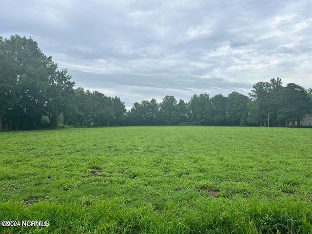 view of local wilderness featuring a rural view