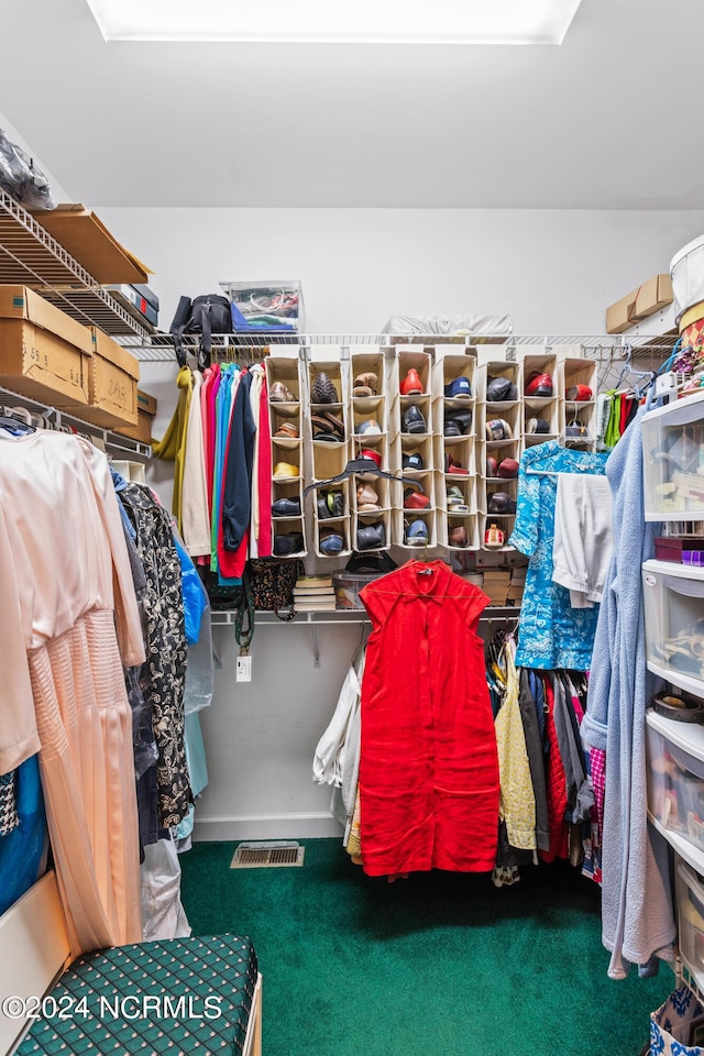 spacious closet with carpet flooring