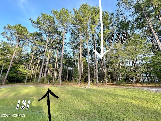 Listing photo 2 for 417 Mill Creek Rd Unit 130, Minnesott Beach NC 28510