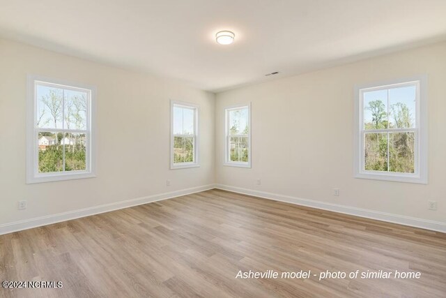 unfurnished room featuring a healthy amount of sunlight and light wood-type flooring