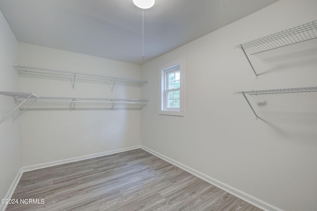 walk in closet with wood-type flooring