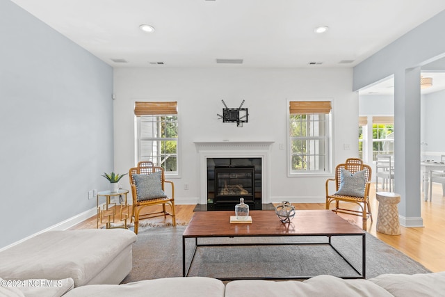 living room with light hardwood / wood-style flooring and a healthy amount of sunlight