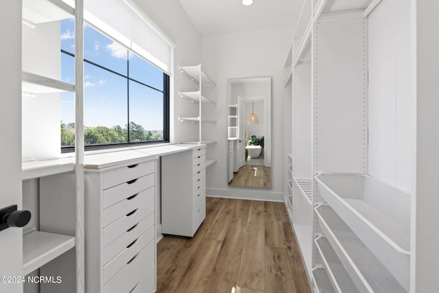 walk in closet featuring dark wood-type flooring